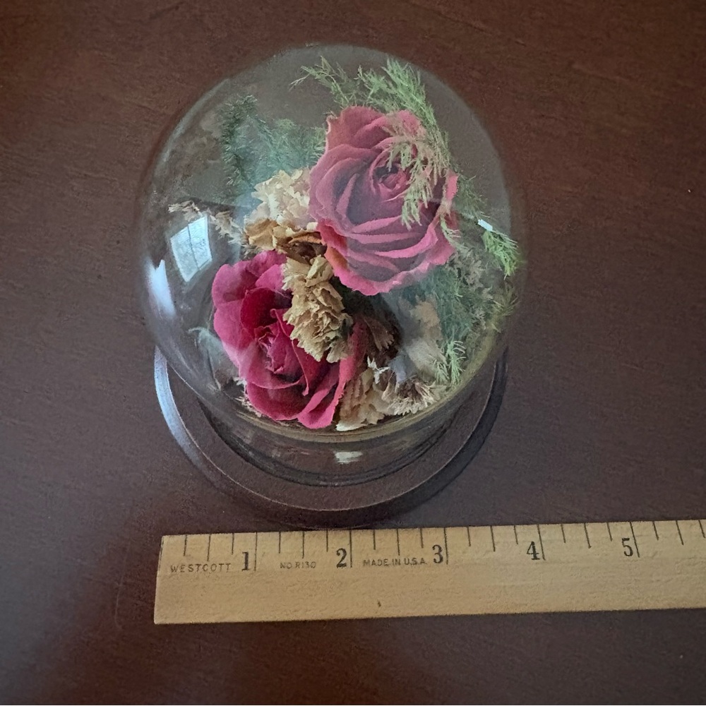 Vintage Natural Expressions Freeze Dried Preserved Roses Glass Dome & Wood Base - Picture 5 of 9